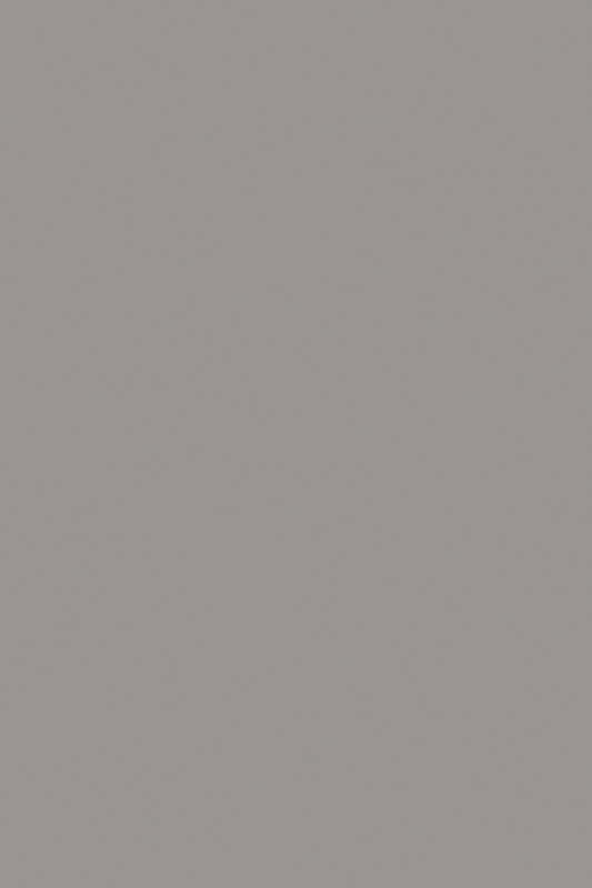 Кромка U788 ST9 0,8*19 мм Арктика серый (75 м бухта) Egger